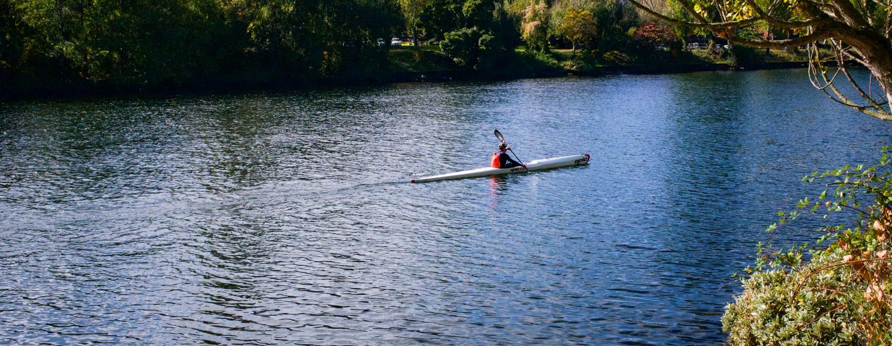 a person rowing a boat on a lake