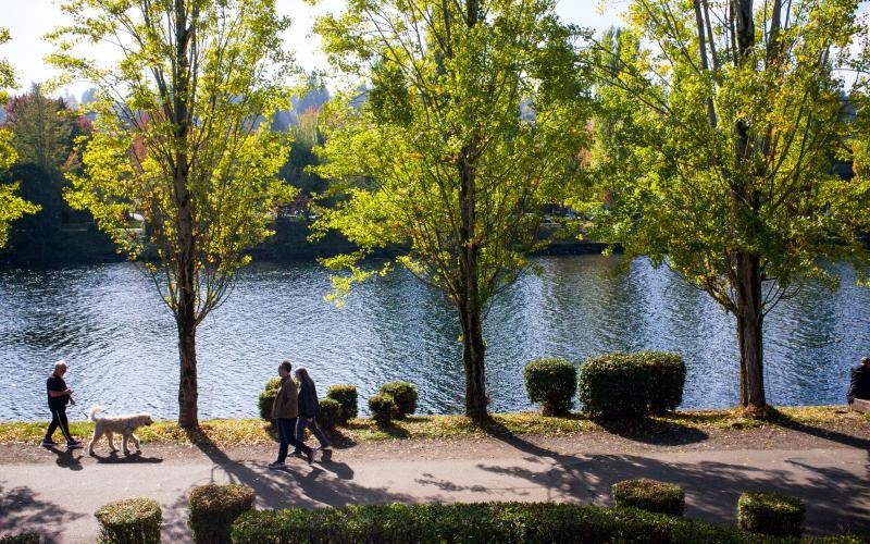 a group of people walking a dog by a lake