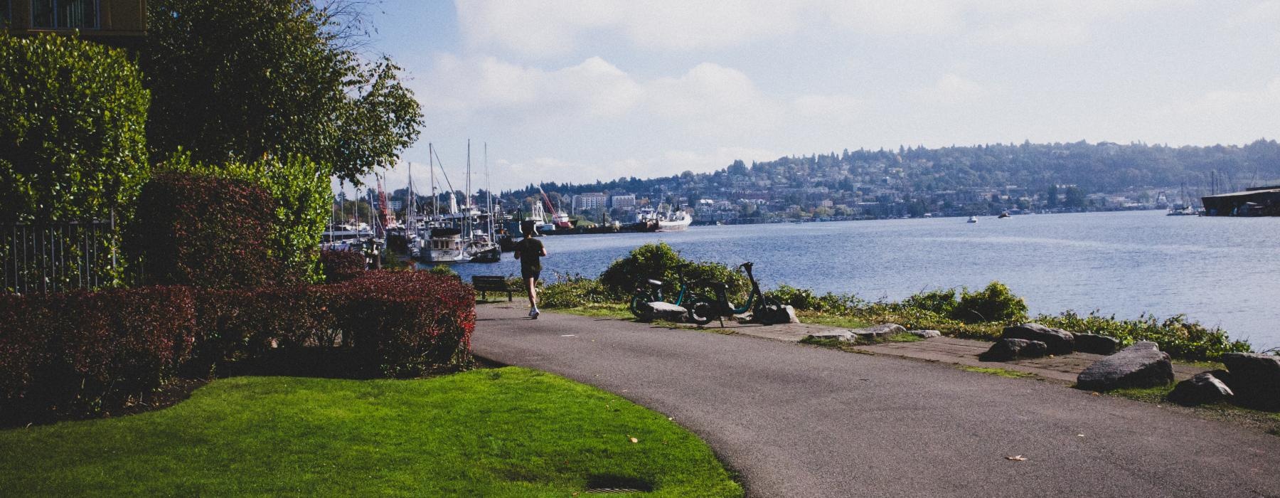 a person standing on a path by a body of water